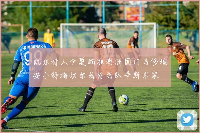 凯尔特人今夏瞄准澳洲国门马修瑞安小舒梅切尔或将离队寻新东家